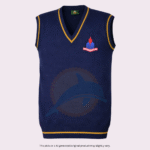 Sweater Punjab College