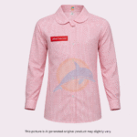 Blouse Allied School